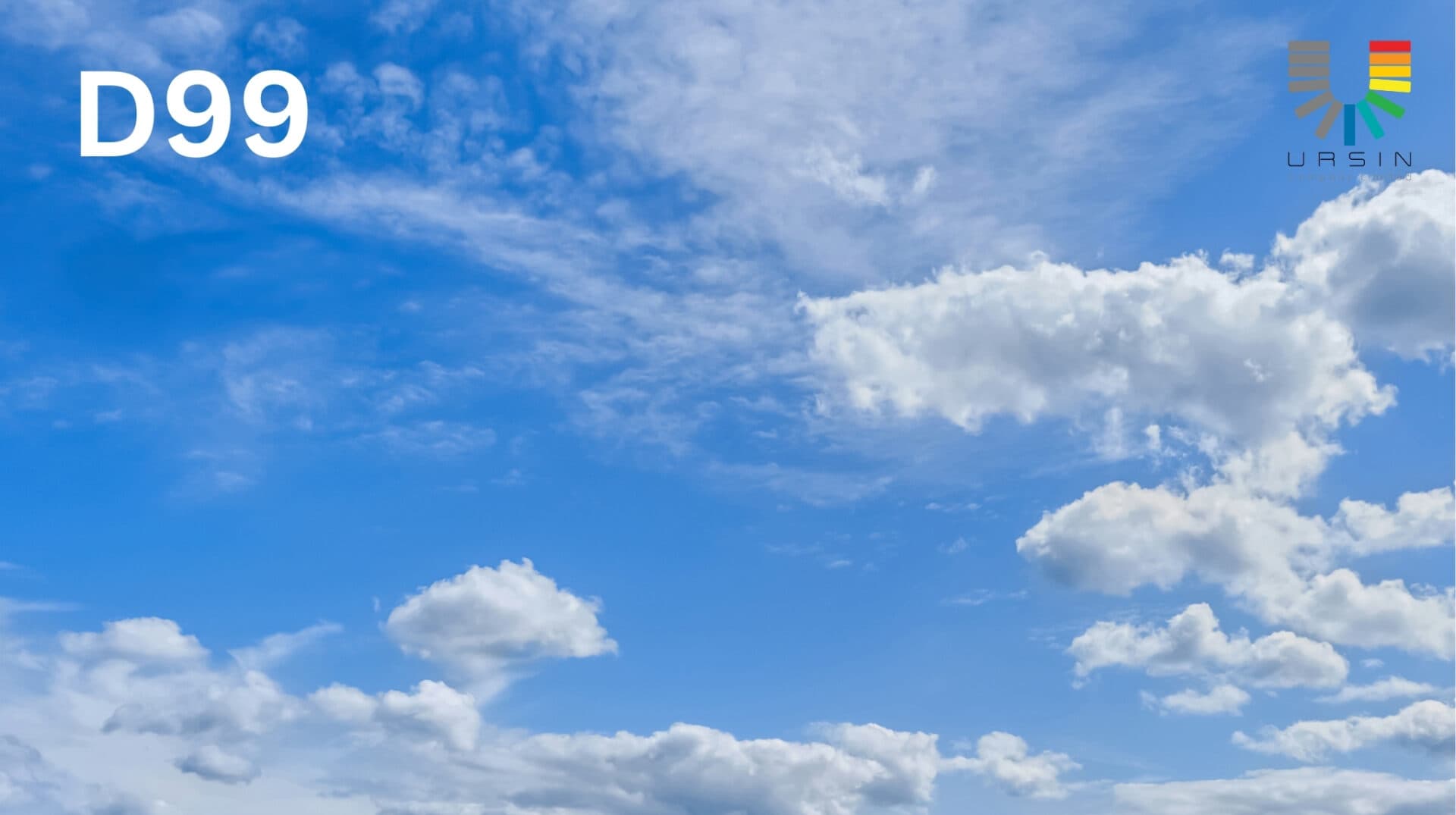 Dotted Sky — D-No99